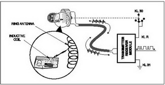 Ring Antenna