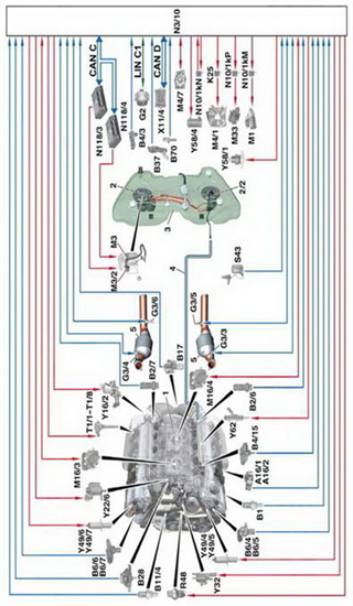 Detail Network 