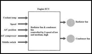 Cooling Fan Function