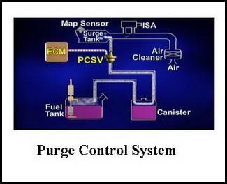 Purge control system