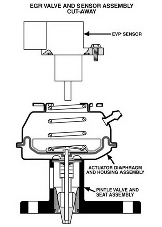 EGR valve 