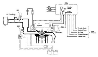 Electronic Fuel Injection System